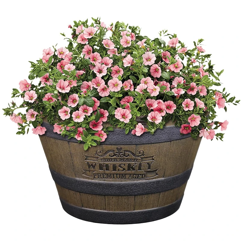 Jardinière Décorative