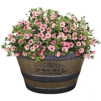 Decorative Planter
