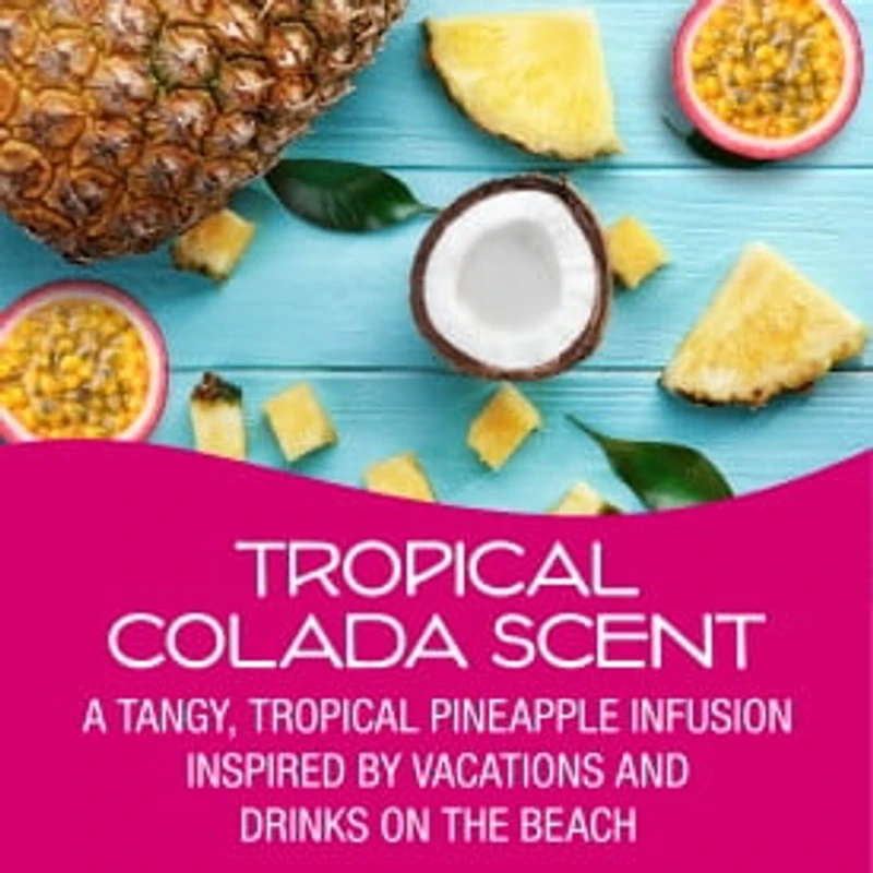 Désodorisant pour voiture California Scents Scent Bloc, parfum Tropical Colada