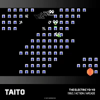 TAITO ARCADE 2 POUR L’EVERCADE