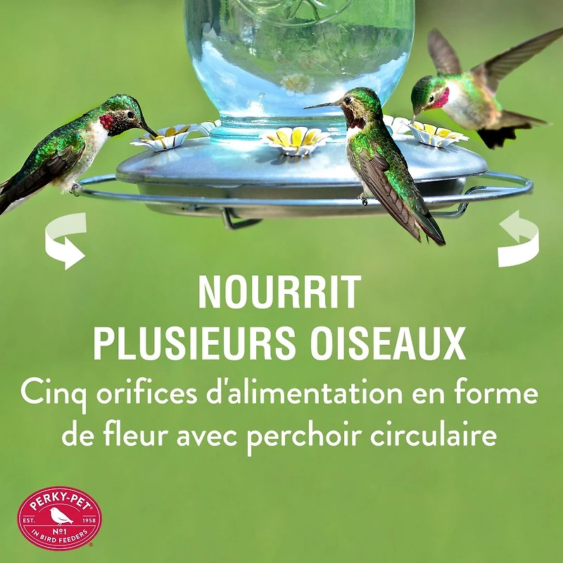 Abreuvoir à colibris en forme de bocal Mason de Perky-Pet - 1 L (32 oz)