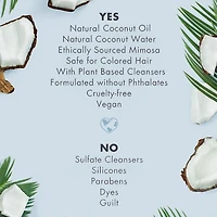 Love Beauty and Planet Coconut Water and Mimosa Conditioner