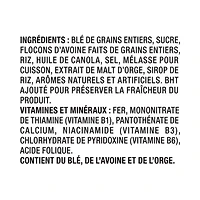 Post Shreddies À Saveur de Cassonade + Granola  395g