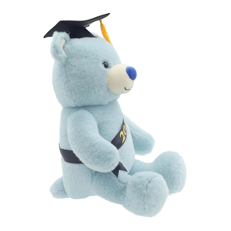 2025 Graduation 12" Blue Teddy Bear Plush