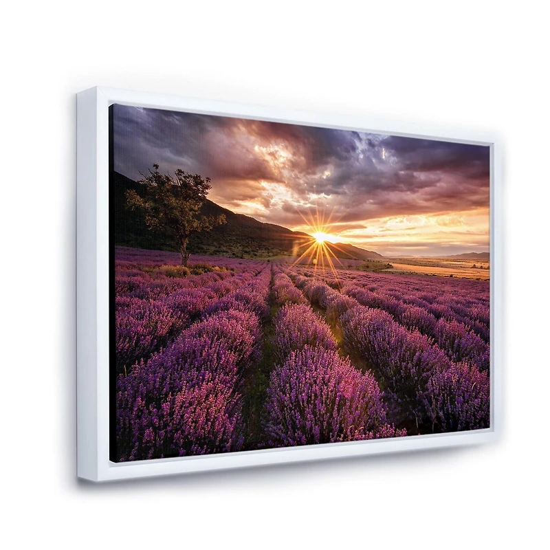 Designart Sunrise & Dramatic Clouds Over Lavender Field IV FLOAT FRAME WALL ART