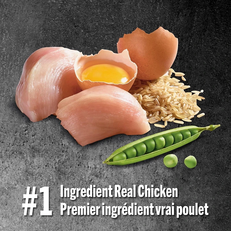 Pure Balance Pro+ Chaton Recette Poulet et Riz Brun Nourriture sèche pour chat 100 g, 1,5 kg
