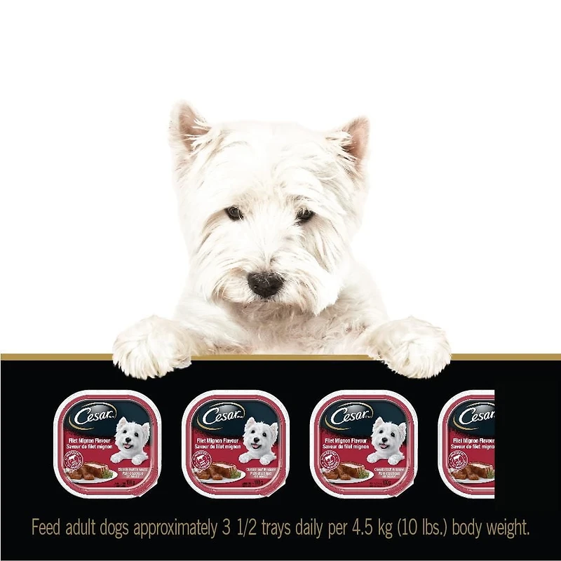 Nourriture humide pour chiens CESAR pain classique en sauce saveur de filet mignon 100g