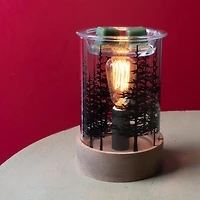 ScentSationals Edison Warmer - Fir Grove, Edison Warmer 40 Watt Bulb