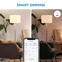WiZ Lampe LED intelligente Squire équivalente à 60 watts, polychrome et blanc réglable, 2 200 K-6 500 K