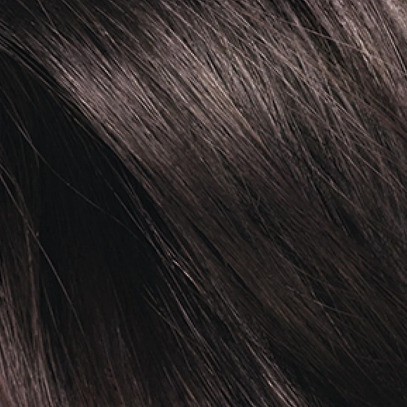 L'Oréal Paris Casting Natural Gloss Hair Dye