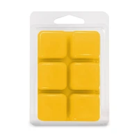 Cubes de cire parfumée ScentSationals - Cempasuchil Fleurs de Souci