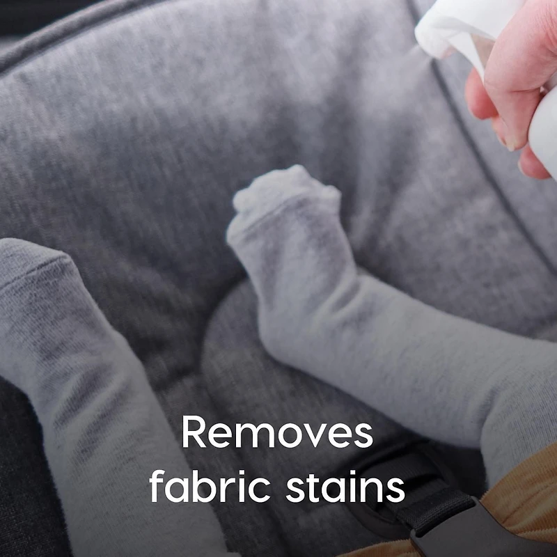 Car Seat & Stroller Cleaner