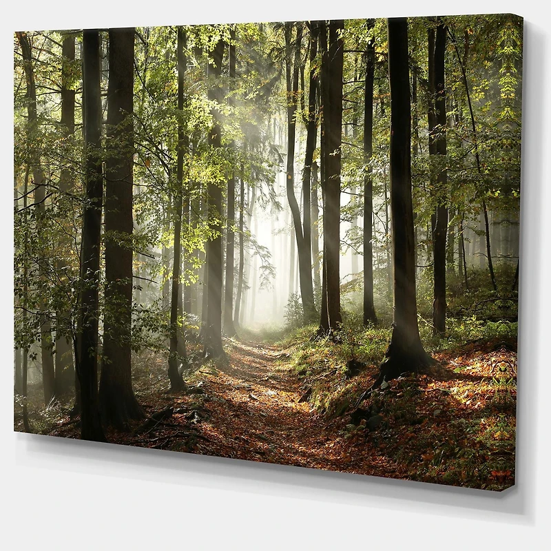 Designart Forêt verte d'automne avec des rayons de soleil Art mural sur toile