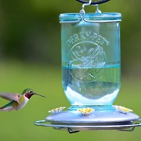 Perky-Pet 32 oz Mason Jar Hummingbird Feeder