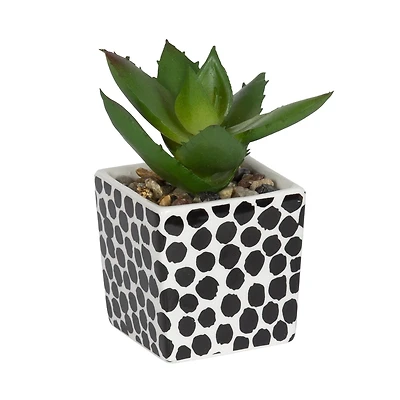 Fausse plante grasse miniature Kibo avec pot à pois 9,5cm H x 4,5cm D