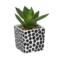 Kibo Mini Faux Succulent Dots Pot, 3.75in H x 1.78in Dia