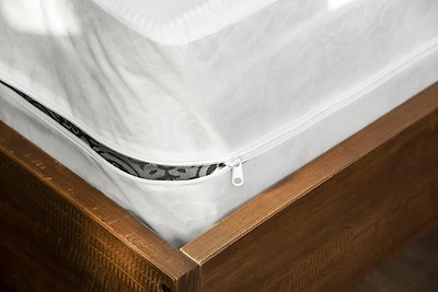 Enveloppe de matelas Total Defense en coton pour lit simple