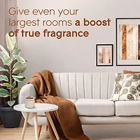 Glade® Cubes de Cire, Bois de Cashmere
