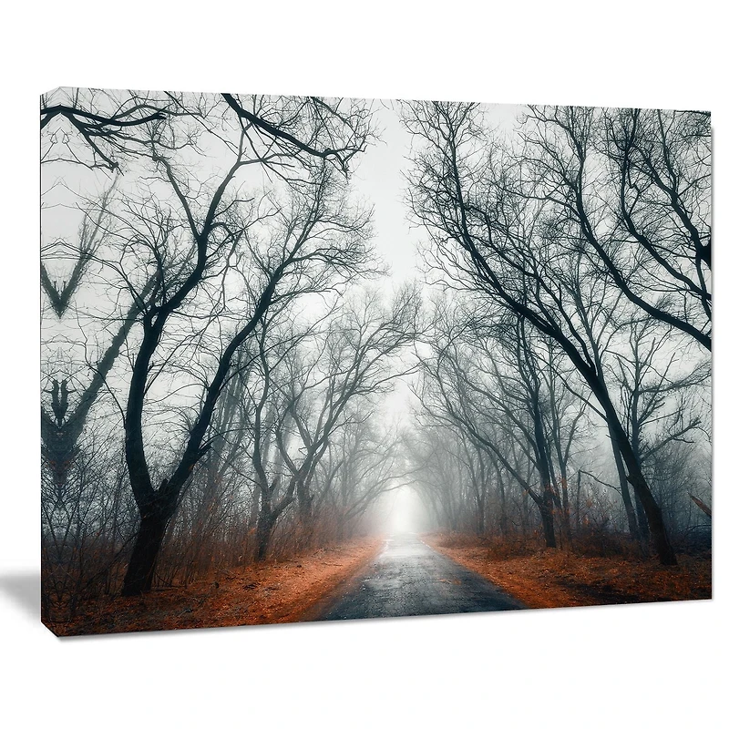 Tableau à toile imprimée Design Art Paysage photographique Rue dans forêt mystique