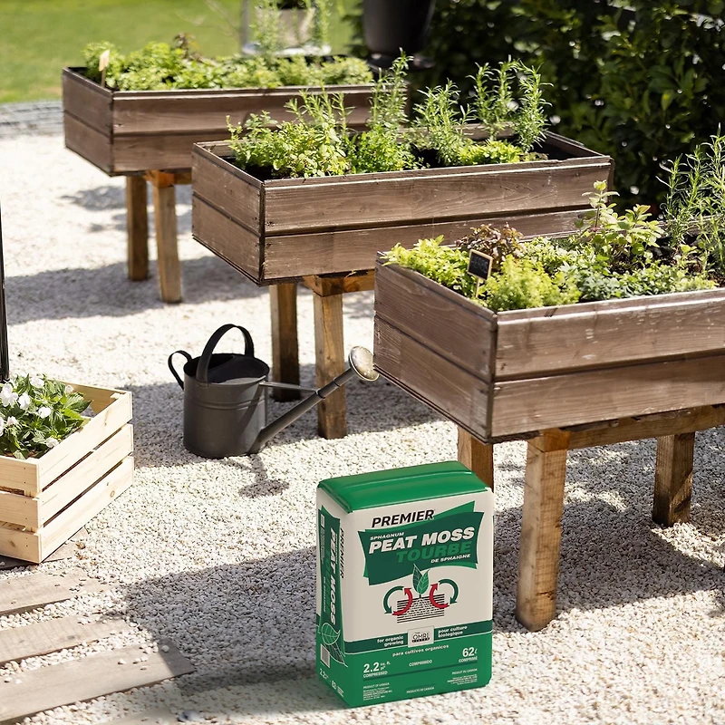 Tourbe de sphaigne Premier