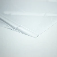 RoomMates Studio Clear Bamboo Privacy Window Film