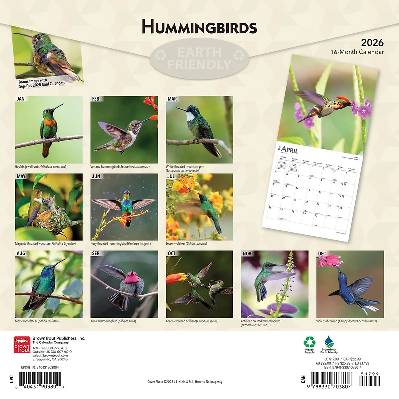 Hummingbirds 2026 Square Flap FOIL