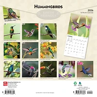 Hummingbirds 2026 Square Flap FOIL
