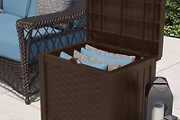 22 Gal. Resin Wicker Deck Box with Seat