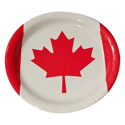 Way to Celebrate 10PK Paper Plate