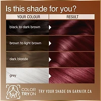 Garnier GOOD, Coloration Permanente, 100% Couverture du Gris, Sans Ammoniaque, 1 unité