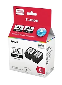 Canon Encre PG-245XL, paq. de 2 - 8278B010 Noir