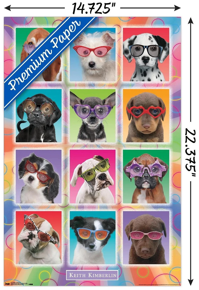Keith Kimberlin - Puppies - Sunglasses Wall Poster