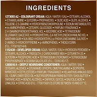 Garnier GOOD, Coloration Permanente, 100% Couverture du Gris, Sans Ammoniaque, 1 unité Sans Ammoniaque