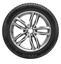 Radar Dimax All Weather (3PMS) tire 225/50R17XL 98Y All-Weather Car tire