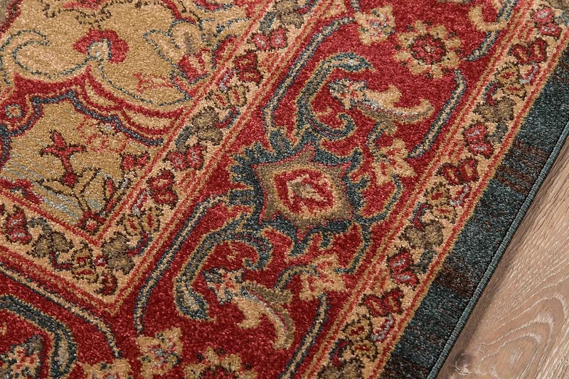ECARPET Lux Traditional Area Rug for Living Room, Bedroom, Dining Entrance, Hallway and More.