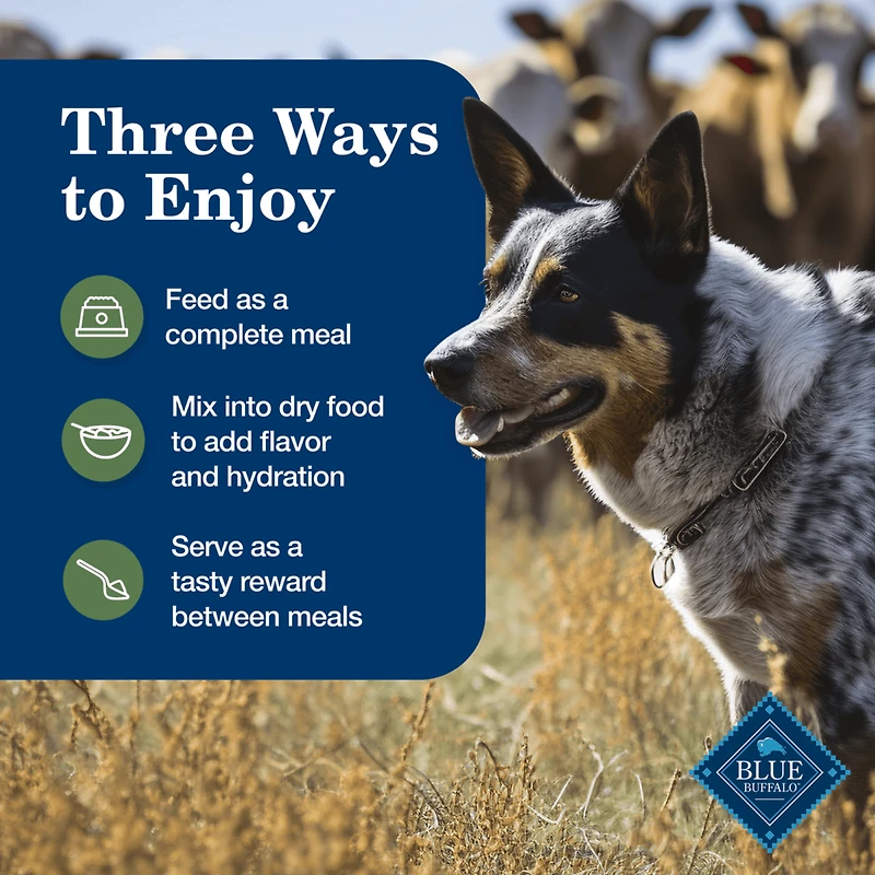 Blue Buffalo , Assortiment de Recettes Maison pour Chiens Adultes, Agneau et Dinde en Conserve, Format Varié