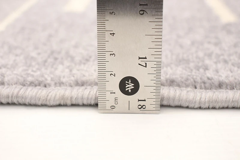 ECARPET Striped Area Rug