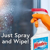 Windex Nettoyant Multisurface au Vinaigre, Nettoyant Tout Usage, Nettoyant pour Vitres, 765ml