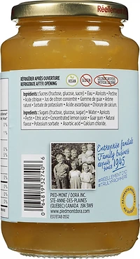 Dora Tartinade Légère Traditionnelle à l'Abricot