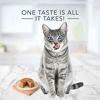 Blue Buffalo Tastefuls Tuna, Chicken and Fish/Shrimp in Gravy Flaked Adult Wet Cat Food, 12x156g