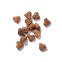 Régals Catit Nuna, Mélange d’insectes, 60 g