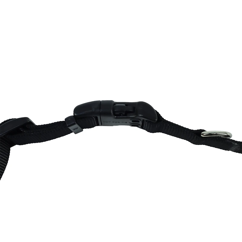 Pet Attire by Coastal Medium 12-18" Black Adjustable Buckle Dog Collar