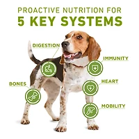 Purina ONE +Plus Santé générale avec du vrai poulet, Nourriture Sèche pour Chien, 1.6 kg
