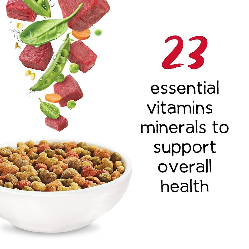 Beneful Originales avec Vrai Boeuf, Nourriture Sèche pour Chiens