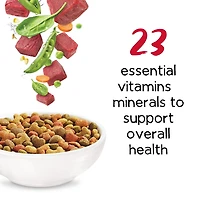 Beneful Originales avec Vrai Boeuf, Nourriture Sèche pour Chiens