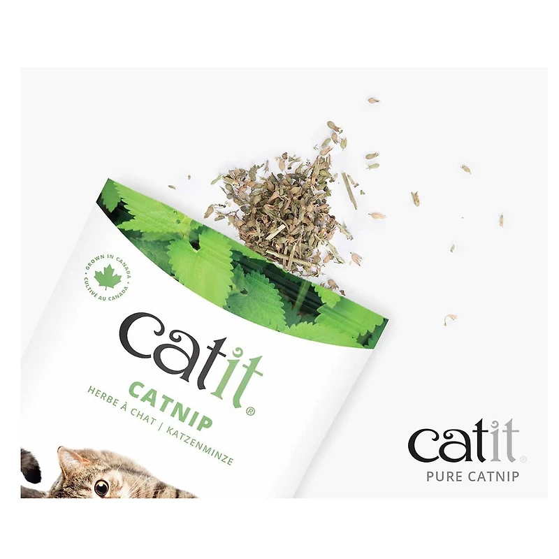 Catit Natural Catnip, Resealable Bag, 28 g (1 oz)