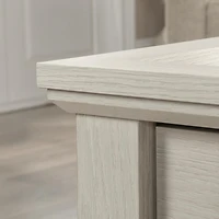 Sauder Larkin Ledge Storage Coffee Table in Glacier Oak Finish
