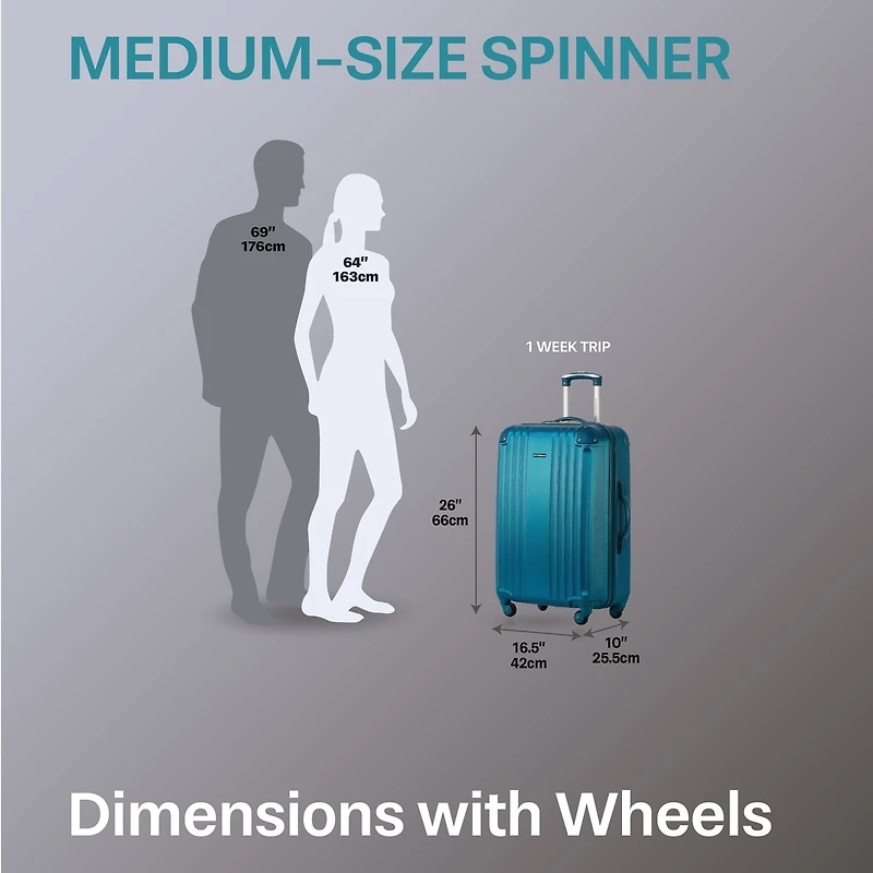 Jetstream Hardside 24" Large Checked Luggage