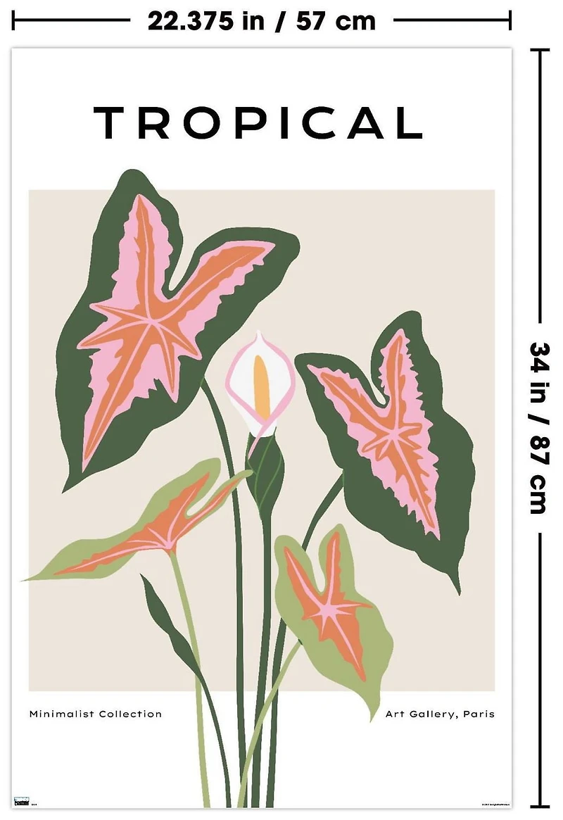 Botanical - Tropical Wall Poster, 22.375" x 34"