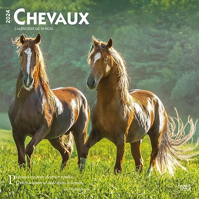 BrownTrout Horses 2024 12x24 Inch Square Wall Calendar, 9781975470173